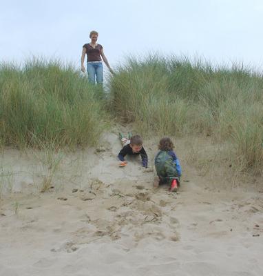 Dune, 2006